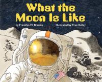 What_the_moon_is_like